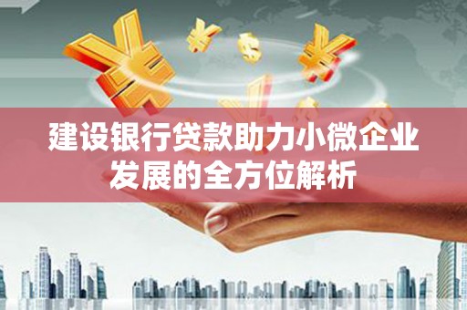 平镇建设银行贷款助力小微企业发展的全方位解析