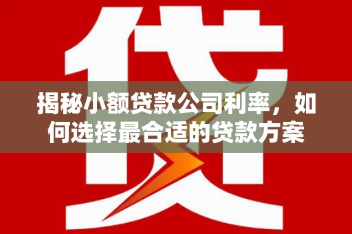 平镇揭秘小额贷款公司利率，如何选择最合适的贷款方案