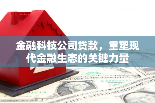 平镇金融科技公司贷款，重塑现代金融生态的关键力量