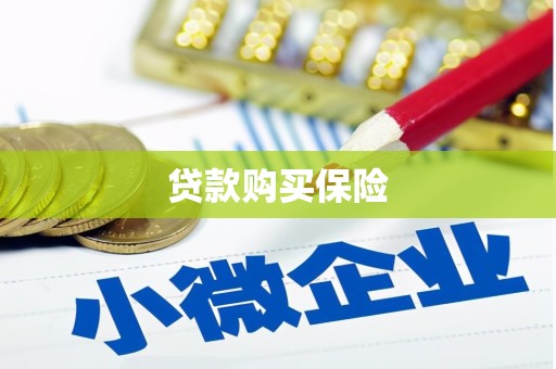 平镇贷款购买保险