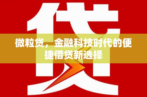 平镇微粒贷，金融科技时代的便捷借贷新选择