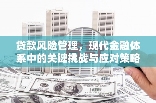 平镇贷款风险管理，现代金融体系中的关键挑战与应对策略