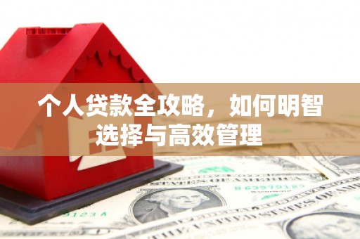 平镇个人贷款全攻略，如何明智选择与高效管理