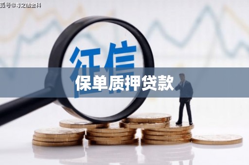 平镇保单质押贷款