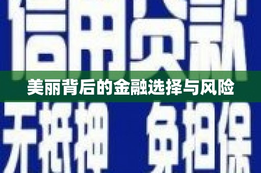 平镇美丽背后的金融选择与风险