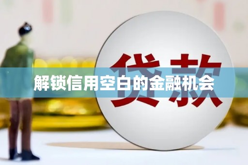 平镇解锁信用空白的金融机会