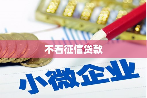 平镇不看征信贷款