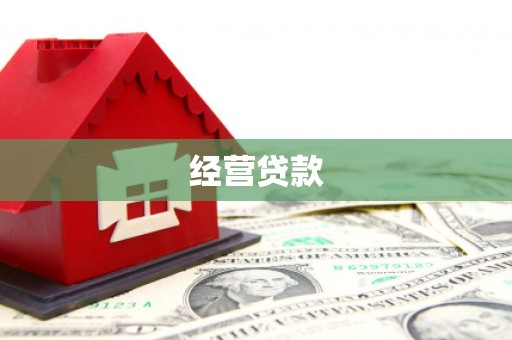 平镇经营贷款