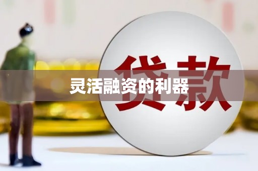 平镇灵活融资的利器