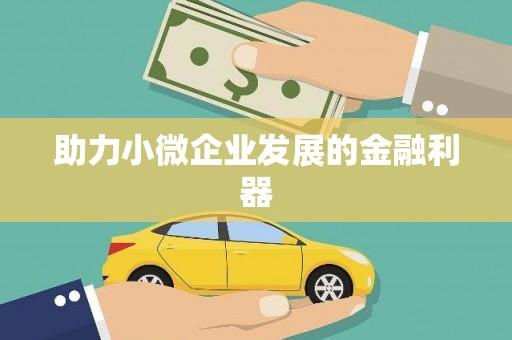 平镇助力小微企业发展的金融利器